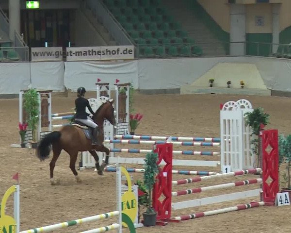 Reitturnier Kreuth/Opf. 2019