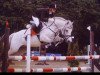 Pferd Duke (Welsh Pony (Sek.B), 2003, von Ducat)