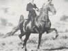 stallion Stonewall's Golden Dream (American Saddlebred Horse, 1939, from Stonewall King)