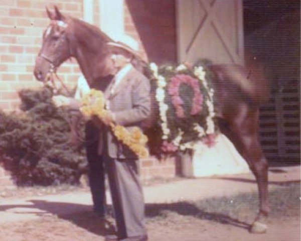 Deckhengst Stonewall King (American Saddlebred Horse, 1920, von My King)