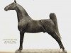 Deckhengst Kalarama Rex (ex. His Lordship) (American Saddlebred Horse, 1922, von Rex Peavine)