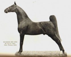 stallion Kalarama Rex (ex. His Lordship) (American Saddlebred Horse, 1922, from Rex Peavine)