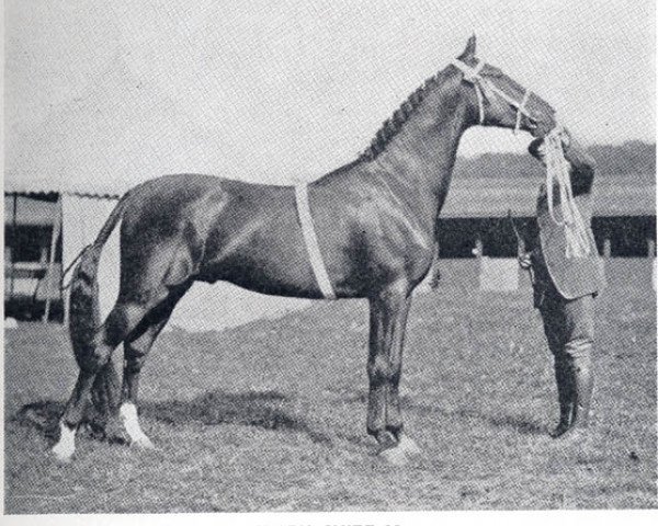 stallion Clark Chief 89 (US) (American Trotter,  , from Mambrino Chief 11 (US))