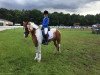 broodmare Mini Maus B (German Riding Pony, 2009, from Mochito 3)