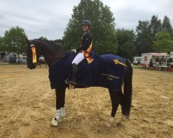 dressage horse Relight my Fire 2 (Hanoverian, 2006, from Rascalino)