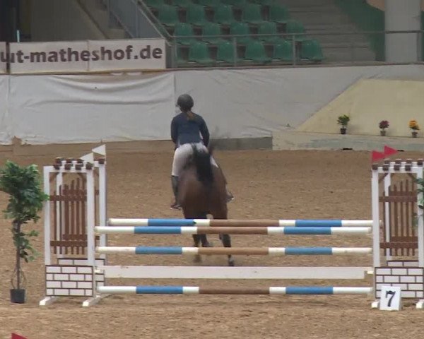 Reitturnier Kreuth/Opf. 2019