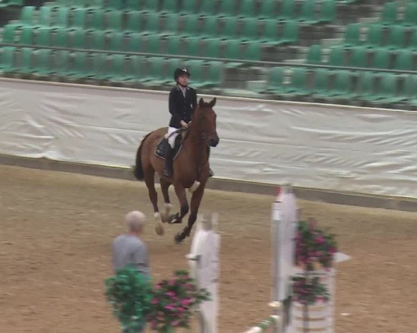 Reitturnier Kreuth/Opf. 2019