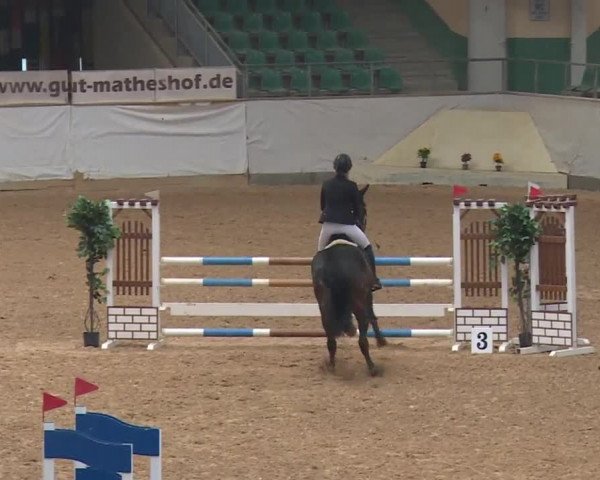 Reitturnier Kreuth/Opf. 2019