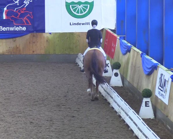 Reitturnier Großenwiehe 2019