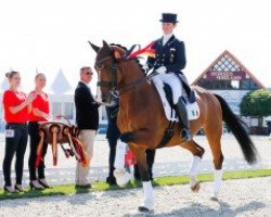 dressage horse Zigal (KWPN (Royal Dutch Sporthorse), 2004, from Future)