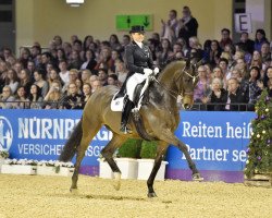 dressage horse Santiago 221 (Hanoverian, 2007, from Stedinger)