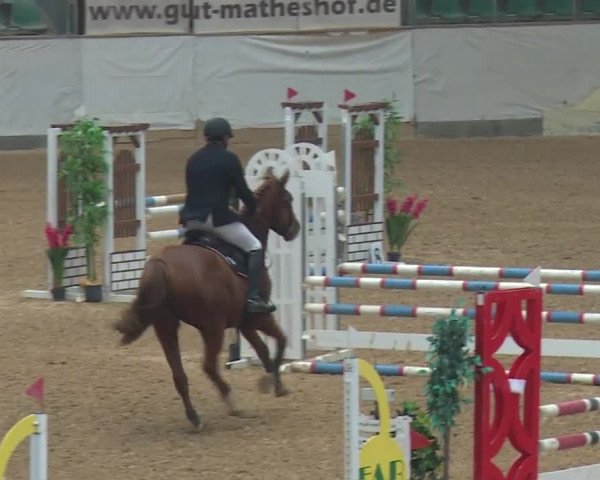 Reitturnier Kreuth/Opf. 2019