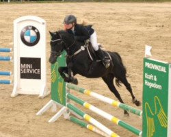 jumper Polani (German Riding Pony, 2000, from FS Pour l'Amour)