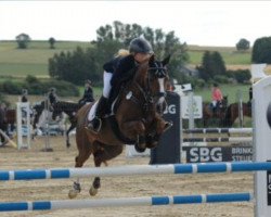 jumper Baskaja 2 (German Riding Pony, 2007, from Laudatio)