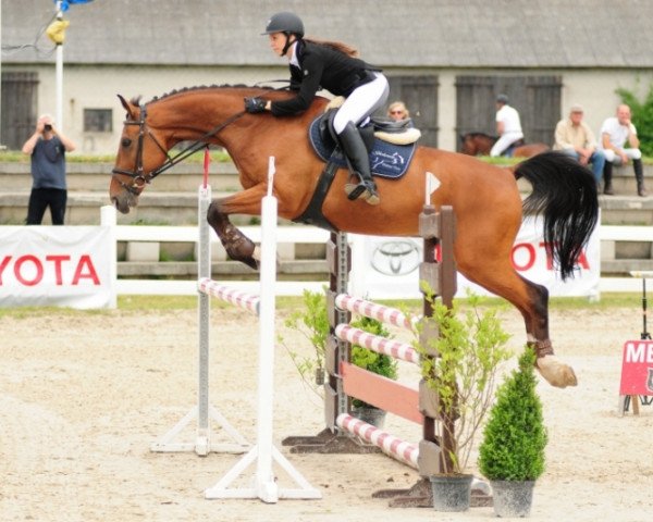 Pferd Tabun WM (Deutsches Sportpferd, 2004, von Landcordek)