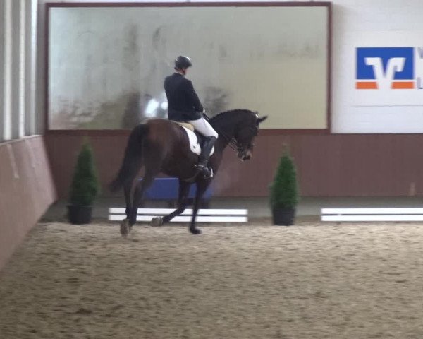 Reitturnier Lembeck 2019