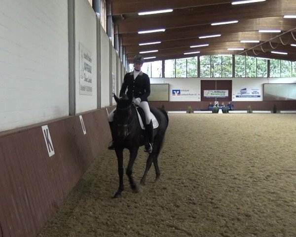 Reitturnier Lembeck 2019