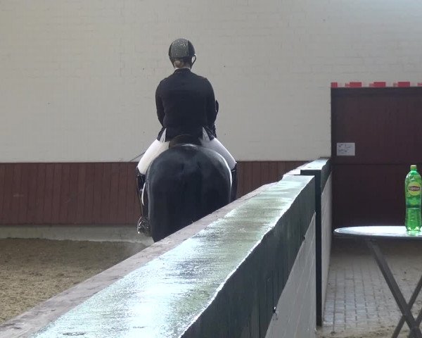 Reitturnier Lembeck 2019