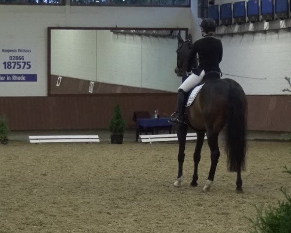 Reitturnier Lembeck 2019