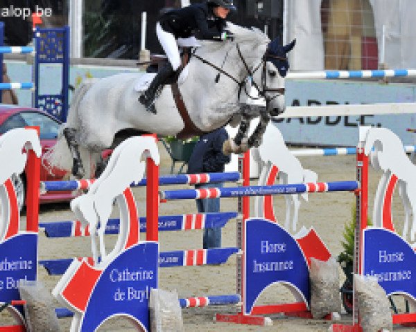 jumper Valetto Jx (Scottish Sports Horse, 2002, from Cevin Z)