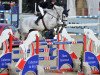 Springpferd Valetto Jx (Scottish Sports Horse, 2002, von Cevin Z)