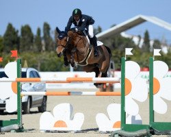 Springpferd Jeco van het Swennenhog (Belgisches Warmblut, 2009, von Epleaser van het Heike)