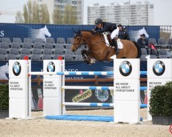 broodmare Desiree Vh Marienshof (KWPN (Royal Dutch Sporthorse), 2008, from Con Air)