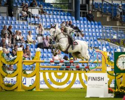 jumper Kentucky Vh Neerhof Z (Zangersheide riding horse, 2005, from Kashmir van't Schuttershof)