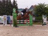 jumper Ladykracher 30 (Hanoverian, 2010, from Lord Pezi)