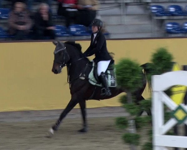 Reitturnier Prussendorf 2019