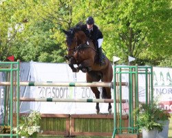 jumper Pepe M (Hanoverian, 2009, from Prominenz)