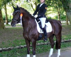 dressage horse Ruben's AS (German Riding Pony, 2002, from Oosteinds Ricky)