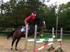 jumper Cassidy 24 (Holsteiner, 1998, from Catrick I)