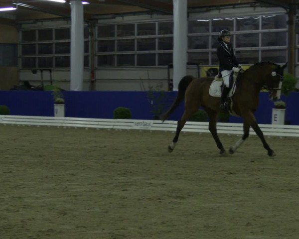 Reitturnier Isterberg 2019