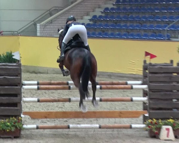 Reitturnier Prussendorf 2019