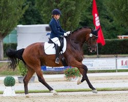 dressage horse Balthasar F (Oldenburg, 2010, from Bordeaux 28)