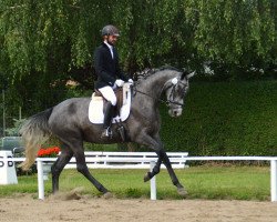 horse Gundel Gaukeley 3 (Hanoverian, 2013, from Gem of India)