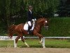 dressage horse Quid Pro Quo 3 (German Sport Horse, 2013, from Quadroneur)