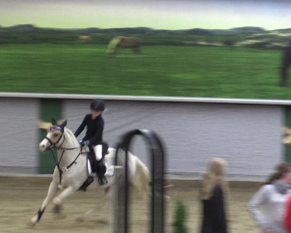 Reitturnier Legden 2019