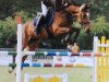 jumper Cherlock (Hanoverian, 2002, from Contendro I)