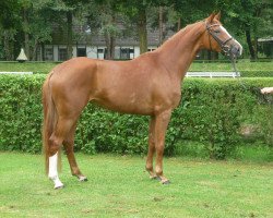 dressage horse Friendly-Hunting's Deià (Hanoverian, 2012, from Fürst Nymphenburg)