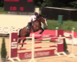 jumper Lando's Star (Oldenburg show jumper, 2004, from Lando)