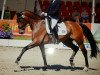 dressage horse Sensationell 2 (Hanoverian, 2009, from Scolari)