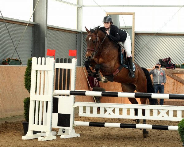 jumper Bhutterfly (KWPN (Royal Dutch Sporthorse), 2006, from Unistar)