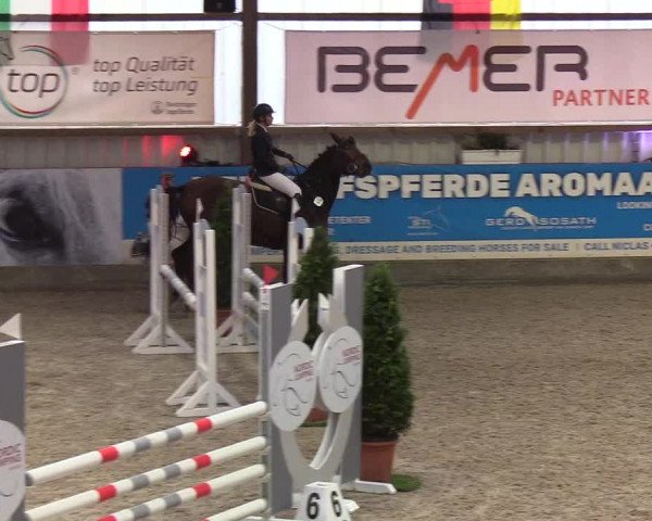Nordic Jumping events 2019