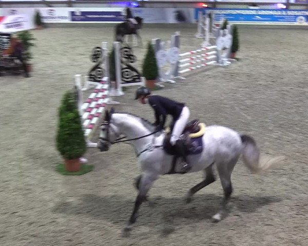 Nordic Jumping events 2019