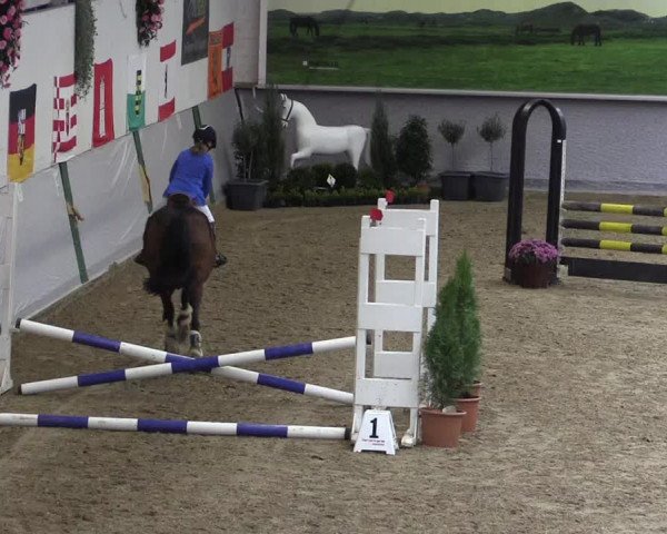 Reitturnier Legden 2019