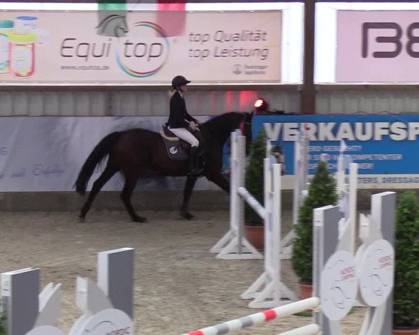 Nordic Jumping events 2019
