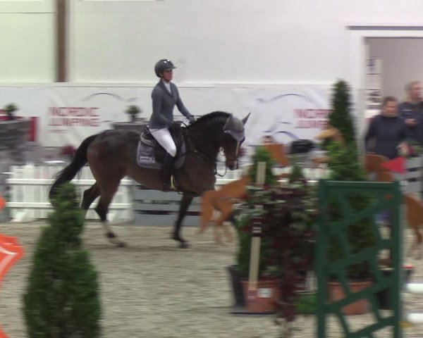 Nordic Jumping events 2019