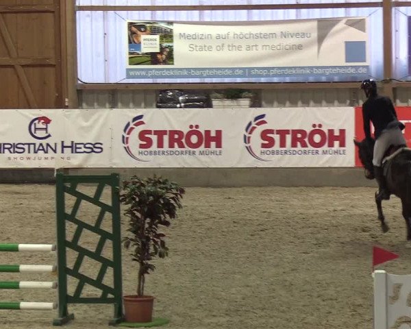 Nordic Jumping events 2019